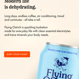 Flyberry