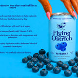 Flyberry